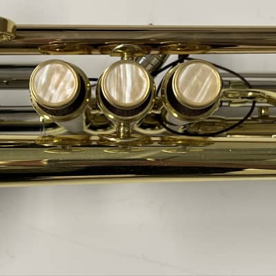 Eastman ETR221 Bb Trumpet (Floor Model) image 10