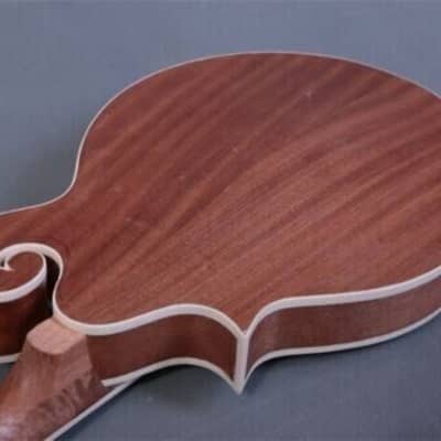 DIY-MAKE YOUR OWN KENTUCKY STYLE F HOLE 8 STRING CARVED TOP ACOUSTIC MANDOLIN image 5