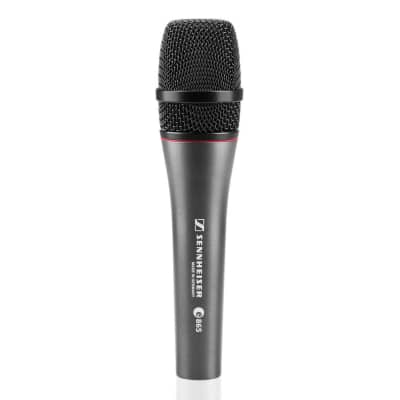 Sennheiser e865 Handheld Condenser Microphone image 1