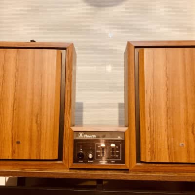 Roland Revo 30 1976 - ‘ Univibe ‘