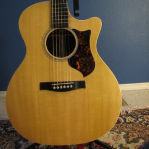 Martin gpcpa4 rosewood top