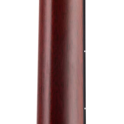 Santa Cruz Brad Paisley B/PW Model - Indian/Bear Claw European Top (915) image 21