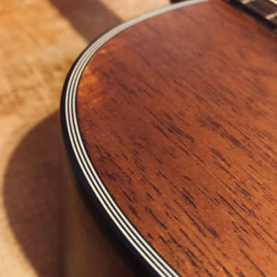 Charvel 550M Mahogany Acoustic Guitar with Gigbag image 14