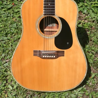 Yairi YW-500P 12 strings guitar 1989 Natural+Deluxe Flight Case FREE image 2