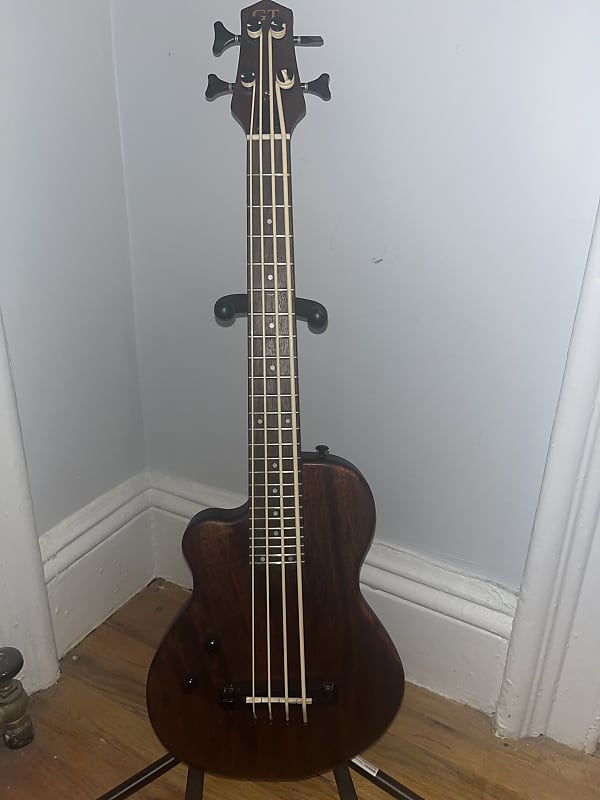 Gold Tone MEBass 23Inch Scale Electric MicroBass 2015 Reverb