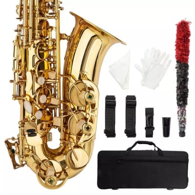Practice Beginner Eb Alto Sax Saxophone School Paint With Case & Accessories image 3