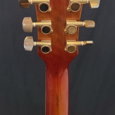 Indiana Remington semi-hollow electric guitar 2003 - Red Burst image 14