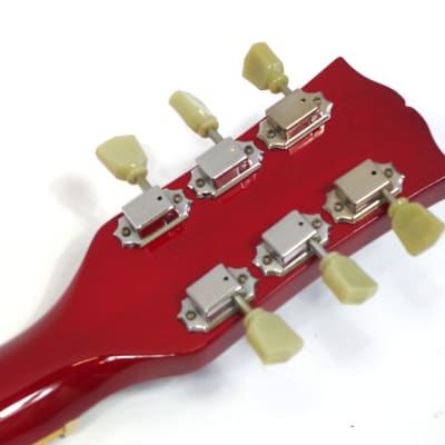 Brian by Bacchus Live Road Model Les Paul Standard Type