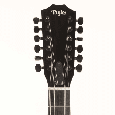 Taylor  250ce Deluxe image 3