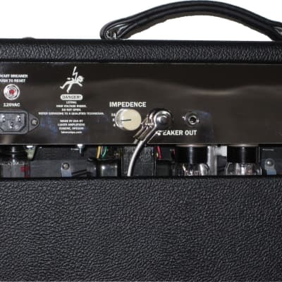 Luker Chameleon 20 combo tube guitar amp built to order boutique image 4