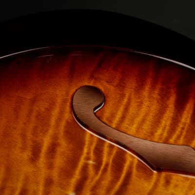 PRS CE 24 Semi-Hollow - Black Amber 2023 image 18