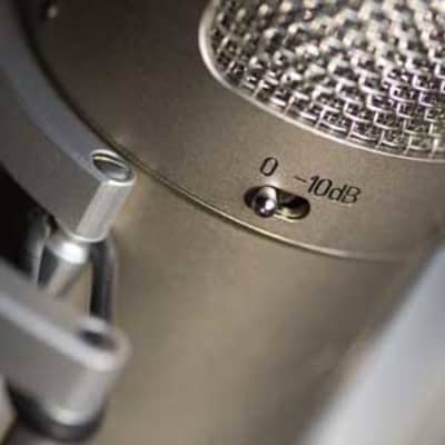 Brauner Phantom V FET Microphone image 2