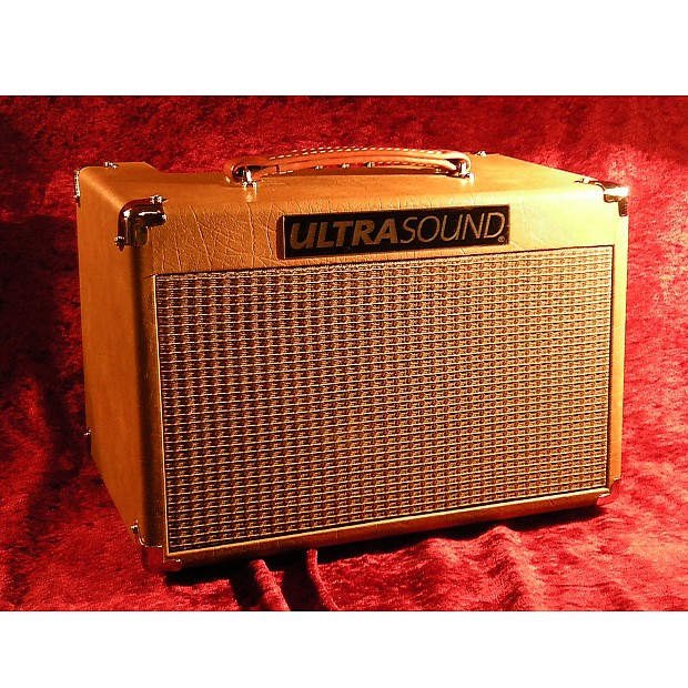 Ultrasound AG30 Acoustic Guitar Amp Award Winning! Reverb