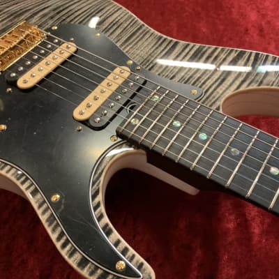 T's Guitars DST-24 7st Custom[GSB019] 2021 image 3