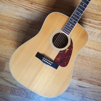 Greco F-250 Dreadnought Acoustic 1974 | Reverb