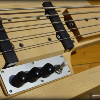 M7instruments Basse 5 cordes Fretless 2018 image 9