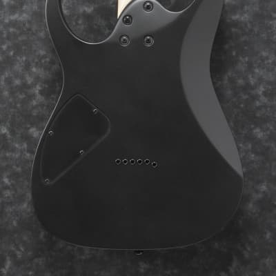 IBANEZ RG421EX-TCM RG-Serie E-Gitarre 6 String, transparent crimson fade matte image 2