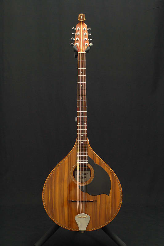 Joe Foley Irish Bouzouki Reverb