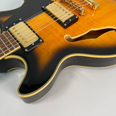 Jay Turser JT134DC Semi Hollow Sunburst 339 Style Electric Guitar MIK image 5