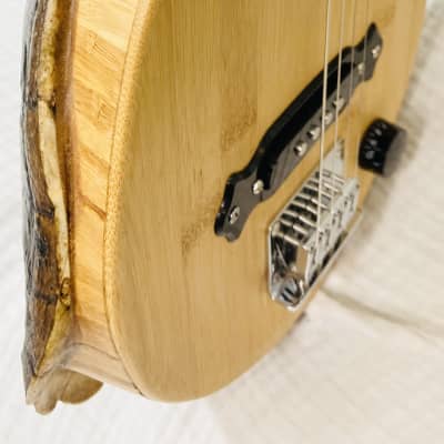 Turtle shell 4 string fretless slide guitar image 7