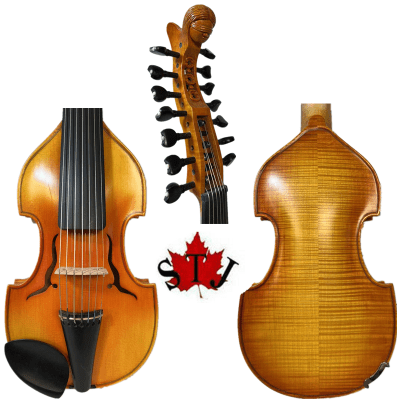 Amore ヴァイオリ Amore Violin Outfit