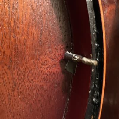 Stromberg Marimba Brazilian Rosewood Five Resonator Banjo Conversion  w/ Original Tenor Neck Circa 1925 image 20