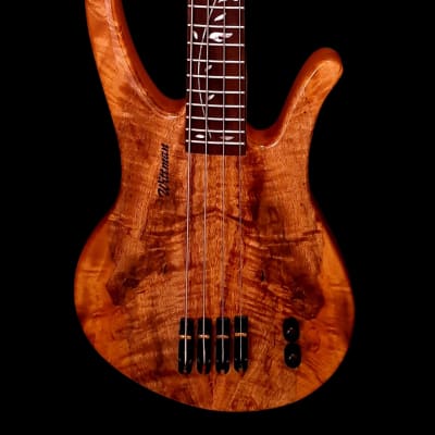 Wittman Custom Bass Long Horn 4 Spalted Maple Top 2022 - High Gloss Polyester image 1