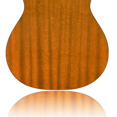 Cordoba Protege C1 - Full Size Classical Guitar - 650mm Scale Length - Spruce image 2