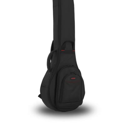 Mark Leaf Banjo case | Reverb