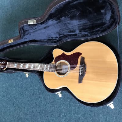 Takamine EG523SC12  Solid Top 12 String with OHSC image 15