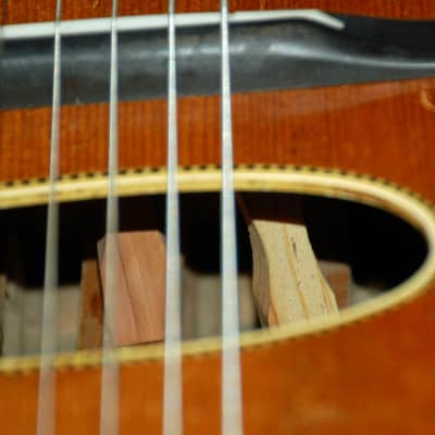 Regal REGAL Double Sound Hole Flat Top Acoustic Guitar- "Borg Balancing Control Tone Refiner" image 3