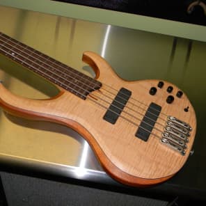 Ibanez btb1005e sales