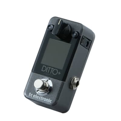 ギター tc electronic DITTO+ Looper TC Electronic | Product | DITTO+ LOOPER