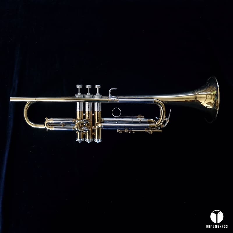 The Martin Imperial Handcraft trumpet case mouthpiece gamonbrass image 1