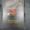 LR Baggs Radius-M Mandolin Pickup with External Jack Mount