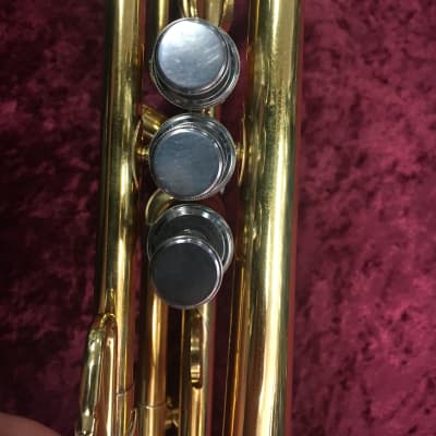 Stomvi Mambo Trumpet 24k Gold-Plated | Reverb UK