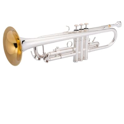 Intermediate Trumpet - brass image 3