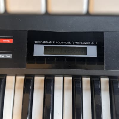 Roland Alpha Juno-1 49-Key Programmable Polyphonic Synthesizer 1985 - 1988 - Black (with Dtronics DT-300V1 programmer) image 6