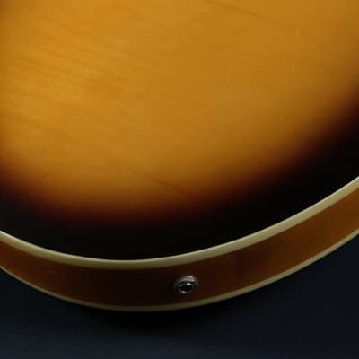 2003 Oscar Schmidt Delta King OE-30/TS Semi-Hollow Body Electric Guitar image 15