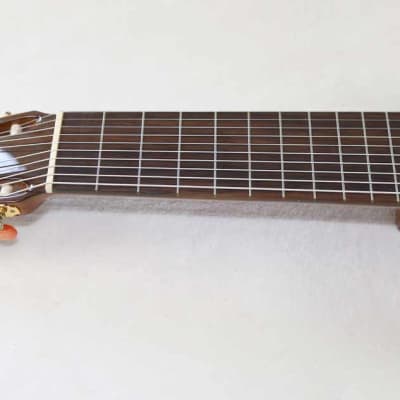 Bartolex SLC10CEL Classical 10-String Harp Guitar, w/Pickup, Cutaway, Sound Port, w/Softshell Case image 5