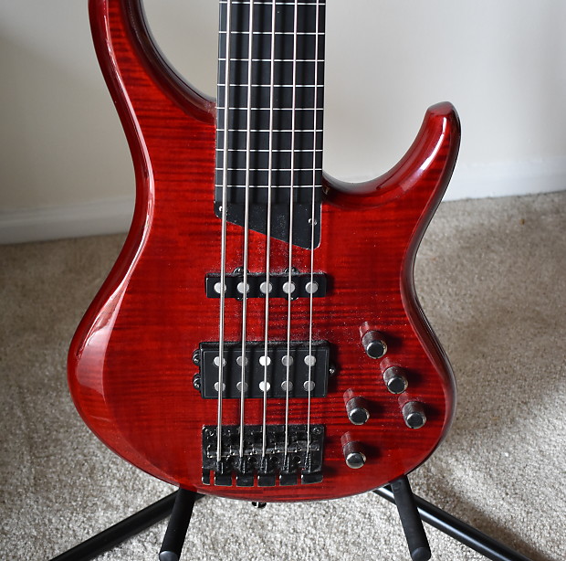 MTD Kingston Heir 5String Fretless Bass Guitar Reverb