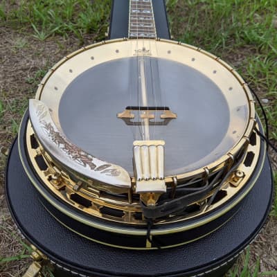 Aria SB-600 Deluxe 5 String Banjo High End Aria Gold Hardware Hard Case  Sounds Incredible | Reverb