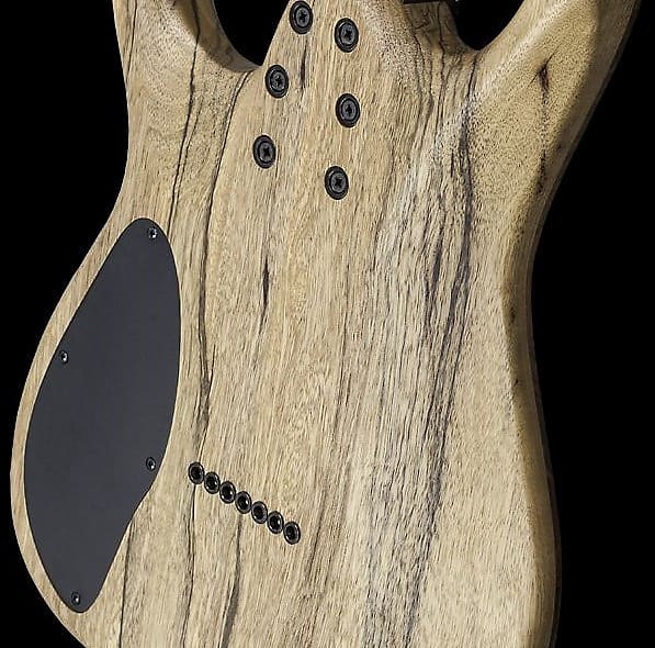 Mayones Duvell BL 6 - Black Limba | Reverb