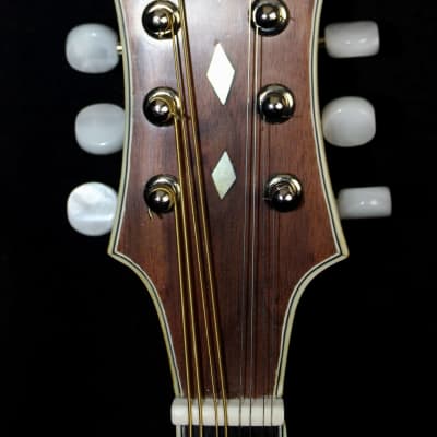 Cross Cross Mandolin F-5 Style, Brand New, Made in U.S.A., Hard Shell Case Included 2021 Light Sunbu image 5