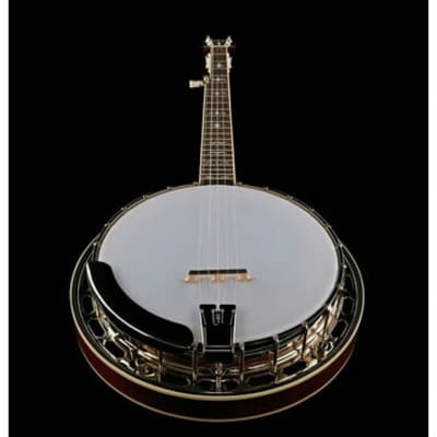 Recording King RK-R35-BR "Madison" Resonator Banjo. New with Full Warranty! image 6