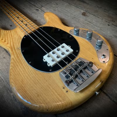 1977 Music Man  Stingray 4  Bass in Natural finish & original hard shell case image 15