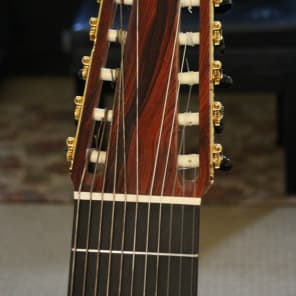 Darren Hippner 11 string Concert Classical 2011 image 3