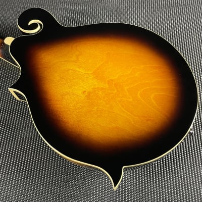 Gold Tone GM-35: F-Style Mandolin with Case image 11
