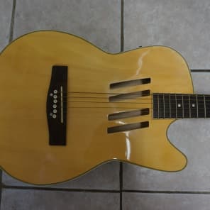 Thin body acoustic electric guitar