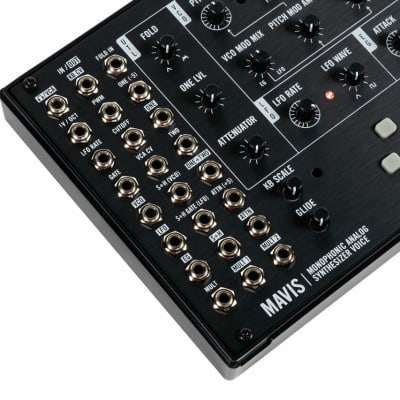 Moog Mavis Semi-Modular Monophonic Analog Synthesizer Kit [Three Wave Music] image 6